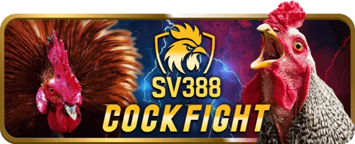 Nền tảng di động của nbet win