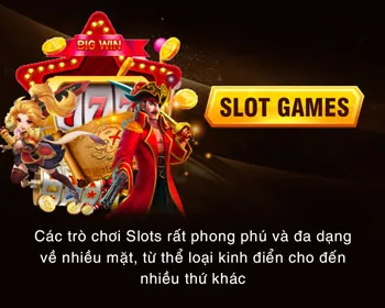 Cấp Độ VIP Bạch Kim nbet win